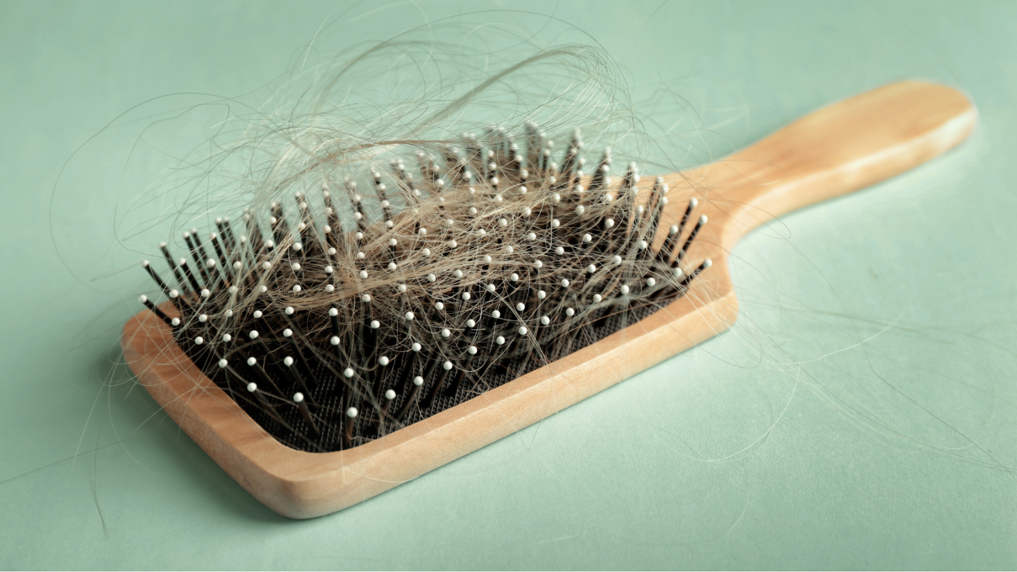 hair-loss-in-brush